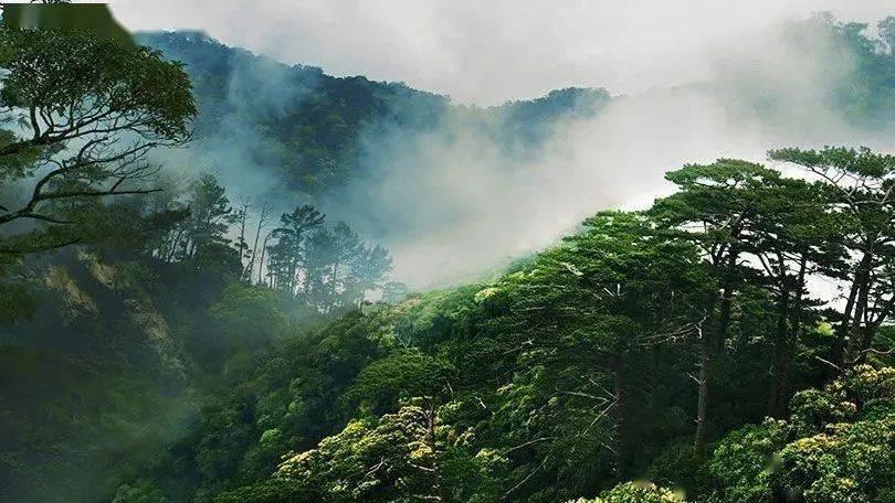 天涯问答平台-